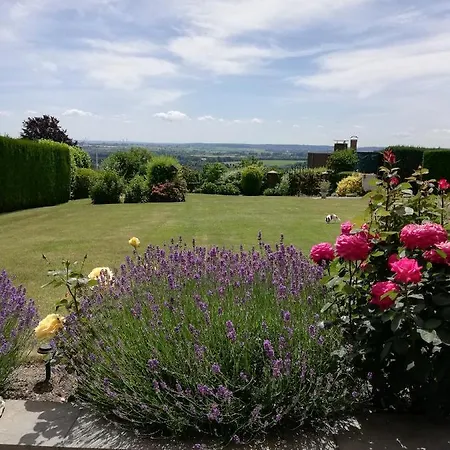 Bellevue シンペルフェルト