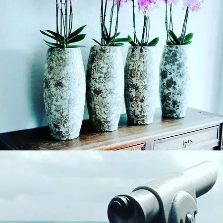 Bellevue Apartment