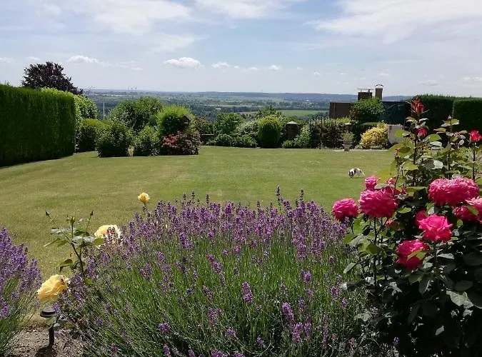 Bellevue Симпелвелд