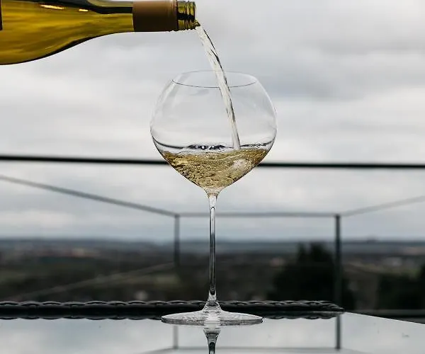 Bellevue Симпелвелд