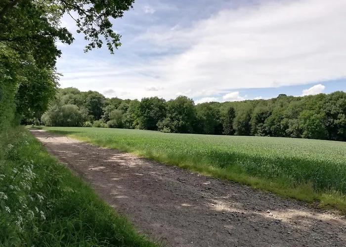 Апартаменты Bellevue *